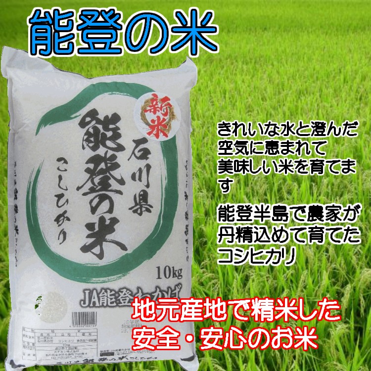 JA能登わかば 石川県産こしひかり 能登の米 10kg×1袋 うるち米、玄米の商品画像