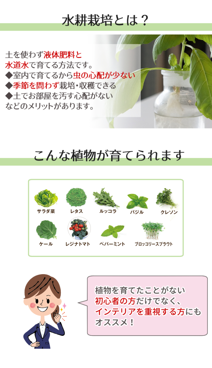 オリンピアショウメイ Led水耕栽培器