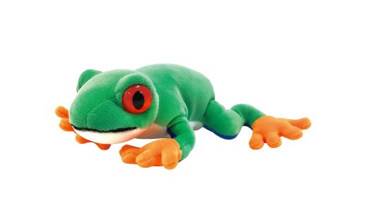 アカメアマガエル