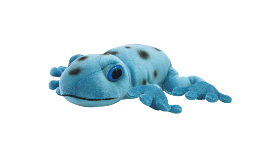 コバルトヤドクガエル