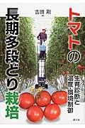  tomato. long time period many step .. cultivation / Yoshida Gou 