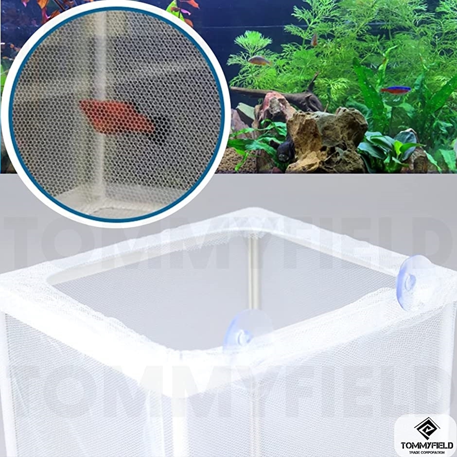 新品入荷 産卵箱 産卵ケース 水槽 ネット メダカ グッピー エビ 隔離 繁殖 大 Heartlandgolfpark Com