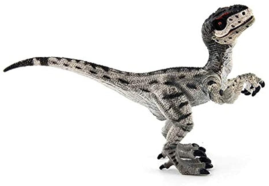 恐竜 フィギュア リアル 毎日がバーゲンセール 模型 ヴェロキラプトル 30cm級 ジュラ紀 ディスプレイ