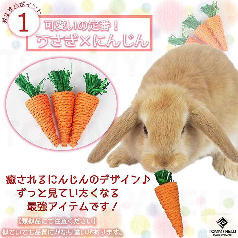 うさぎのおもちゃ にんじん かじり 歯みがき 人参 8個 ホリック Paypayモール店 通販 Paypayモール