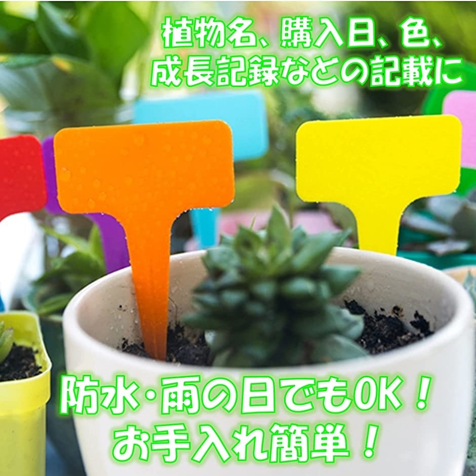 信憑 バラ販売 3M マイクロポア サージカルテープ 1530-0 12.5mm×9.1m 1巻入 信憑 バラ販売 3M マイクロポア サージカルテープ 1530-0 12.5mm×9.1m 1巻入