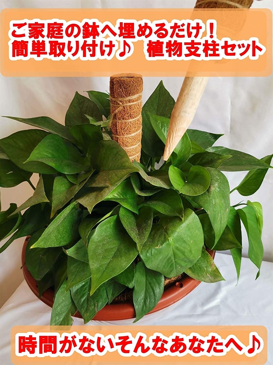 植物支柱 値下げ 園芸支柱 観葉支柱 ライト 棚 土 天然ココナッツ 給水 フラワースタンド 支柱棚 園芸用
