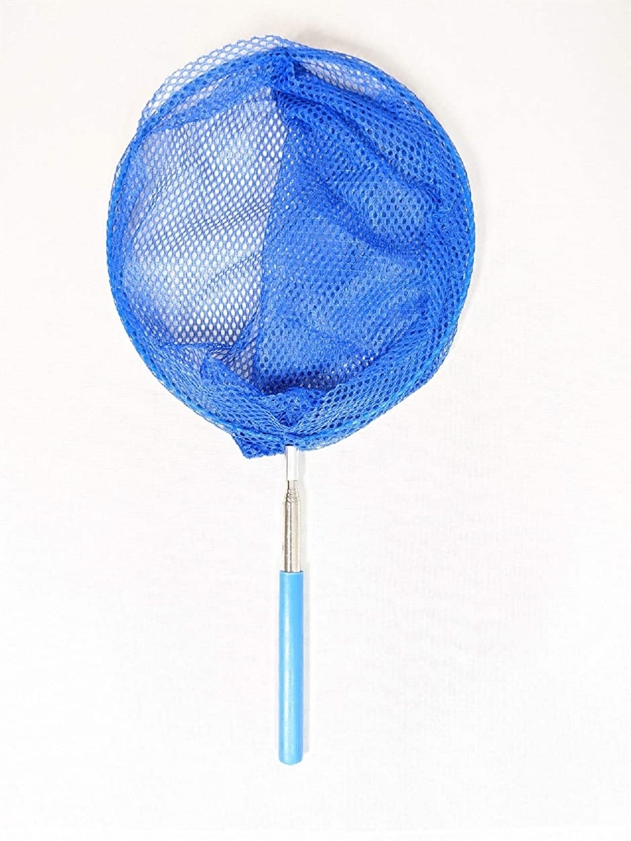 虫取り網 飼育ボックス セット 虫取りアミ 伸縮式 虫とり 親子 子供 激安挑戦中 虫かご むしとり ブルー 昆虫