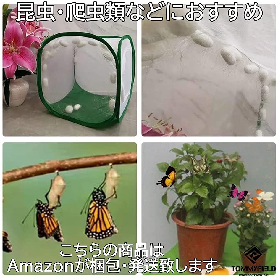 飼育ケース 昆虫ケース 虫かご 虫箱 クリア 爬虫類 大 飼育ネット ケージ 透明 スクエア 1個 ホリック Paypayモール店 通販 Paypayモール