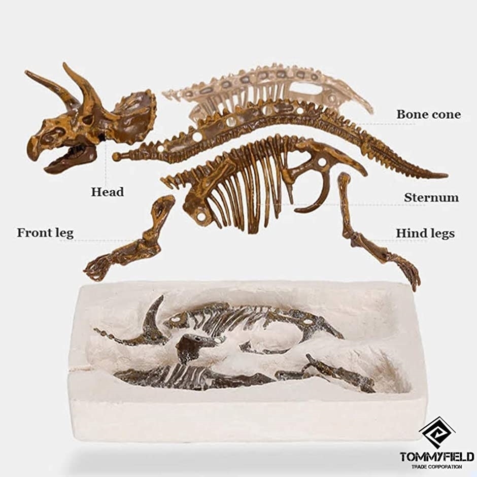 恐竜 発掘 化石 骨 おもちゃ プレゼント 子供 キット ティラノサウルス スピード発送 ホリック Paypayモール店 通販 Paypayモール