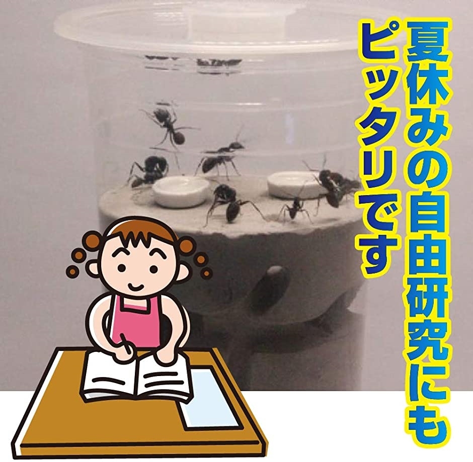 アリの巣 観察キット 蟻 飼育ケース 子供 自由研究 円柱 ホリック Paypayモール店 通販 Paypayモール