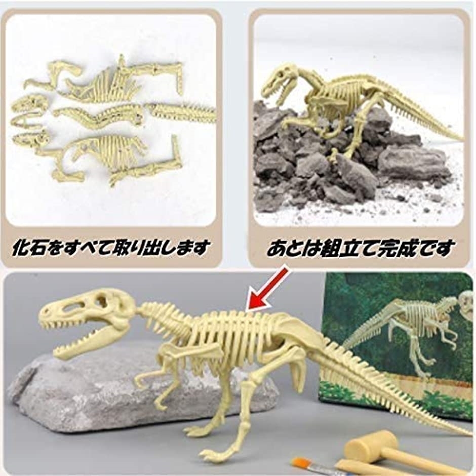 新発売 恐竜化石せっけん楽しむ手洗い iauoe.edu.ng