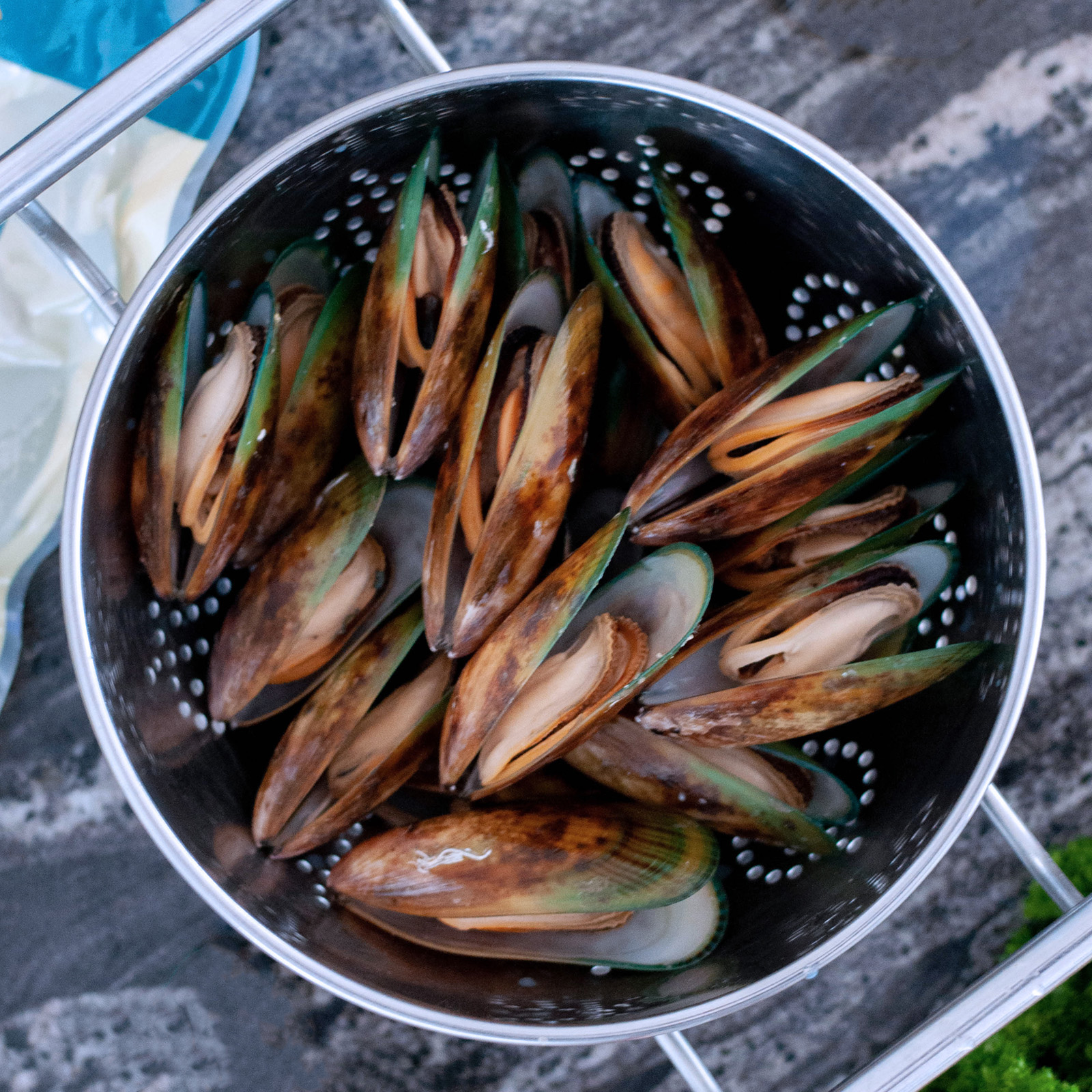  no addition freezing mussel .. Boyle ending under processing un- necessary . attaching New Zealand production 500g cooking ending easy snack high class high quality hormone . un- use . living thing quality un- use 