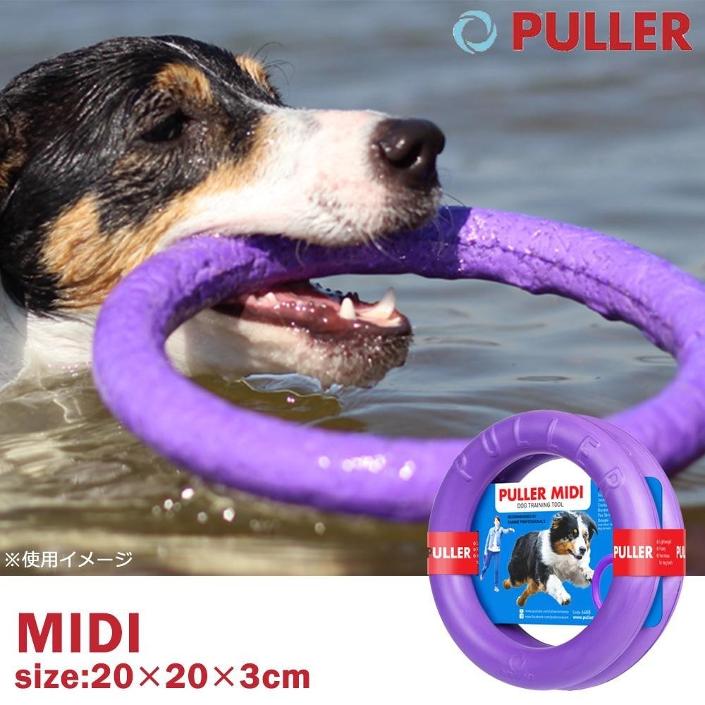 [ немедленная уплата ]Dear*Children собака тренировка игрушка PULLER Midi средний игрушка игрушка тренировка собака собака 