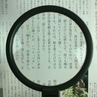  Ikeda линзы промышленность I der ru лупа 100 1150