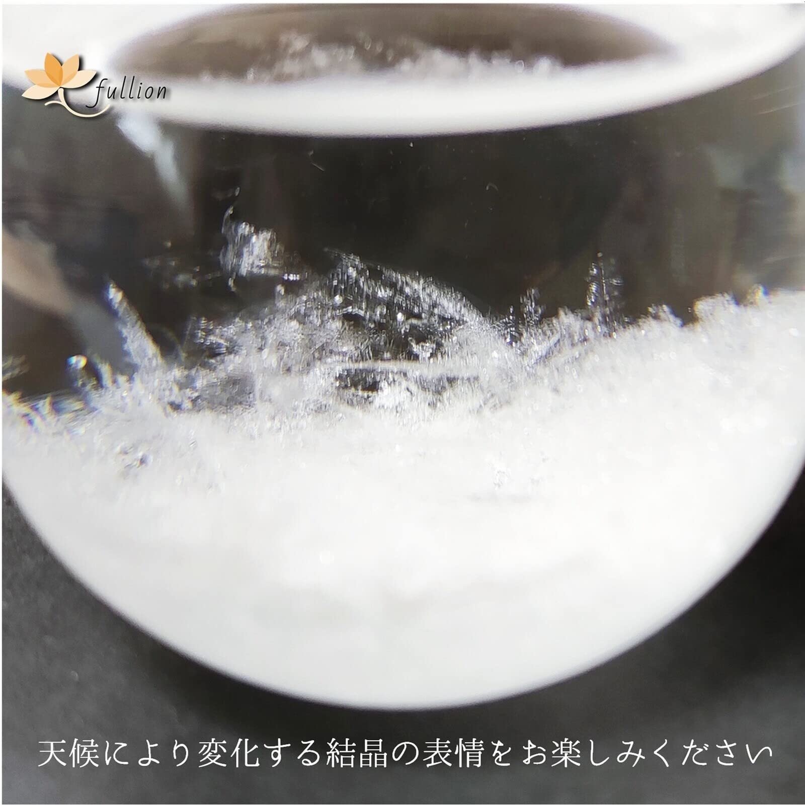 fullion storm стакан Weather forecast bottle птица Storm Glass контрабас приложен bird bird 