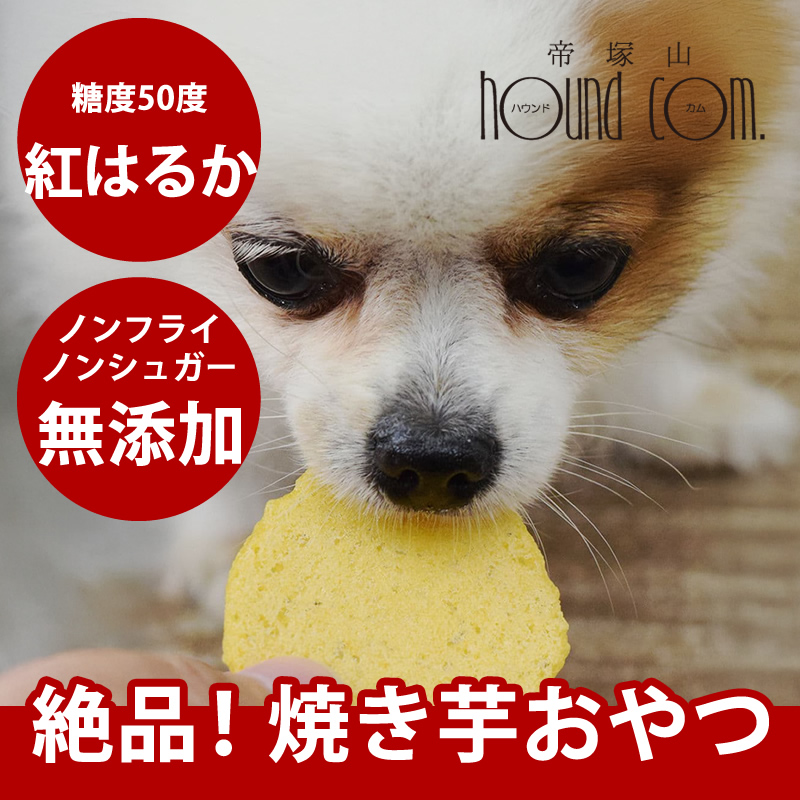 帝塚山ハウンドカム 帝塚山ハウンドカム 焼き芋せんべい 40g 犬用おやつ ガム 最安値 価格比較 Yahoo ショッピング 口コミ 評判 からも探せる