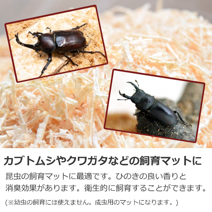  plane .... .100% domestic production breeding mat .... hinoki cypress . rhinoceros beetle stag beetle wood chip bargain 