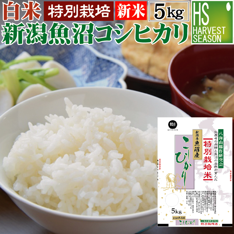 ハナノキ 新潟県 魚沼産 特別栽培米 コシヒカリ 【精白米】 5kg×1袋 うるち米、玄米の商品画像