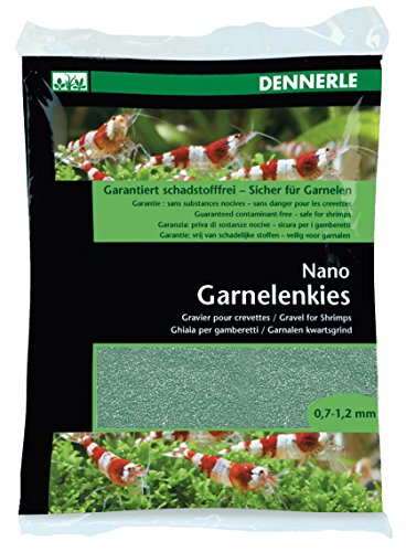  nano gravel креветка для Java зеленый 