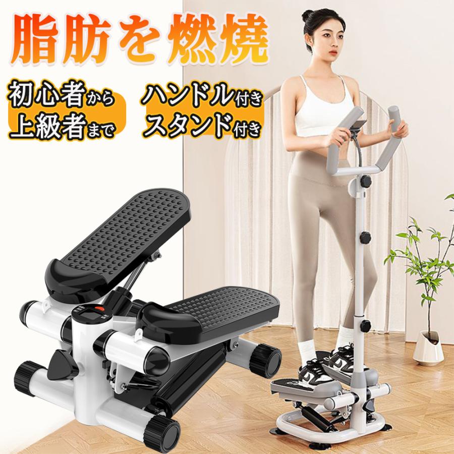 stylishjapan スタイリッシュジャパン スリミング振動ステッパー stylishjapan スタイリッシュジャパン スリミング振動ステッパー