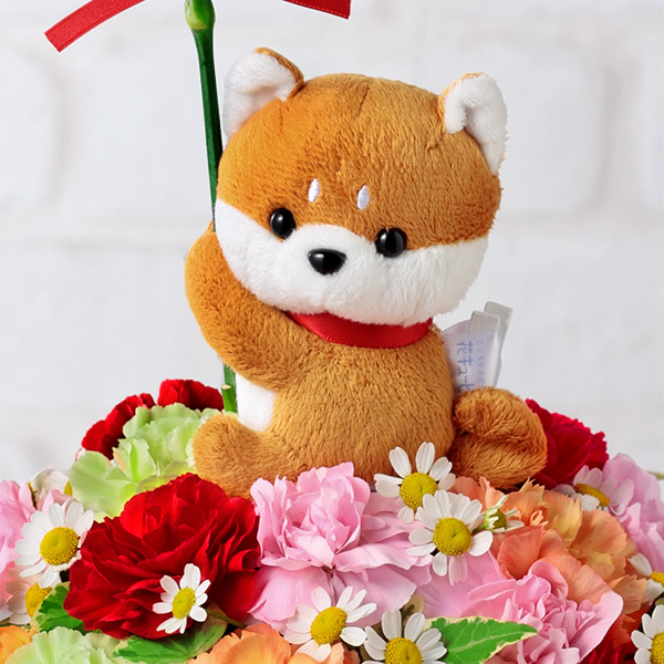 [ Mother's Day present 2024] still interval ... Mother's Day gift carnation 60 fee 70 fee flower cue pito. lovely dog. mascot attaching arrangement 
