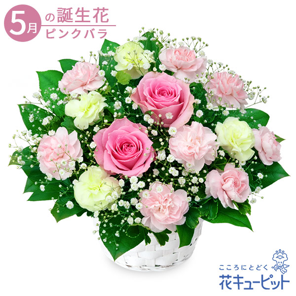 5 month. birth flower ( pink rose ) celebration memory day birthday .. present flower cue pito. pink rose. arrangement 