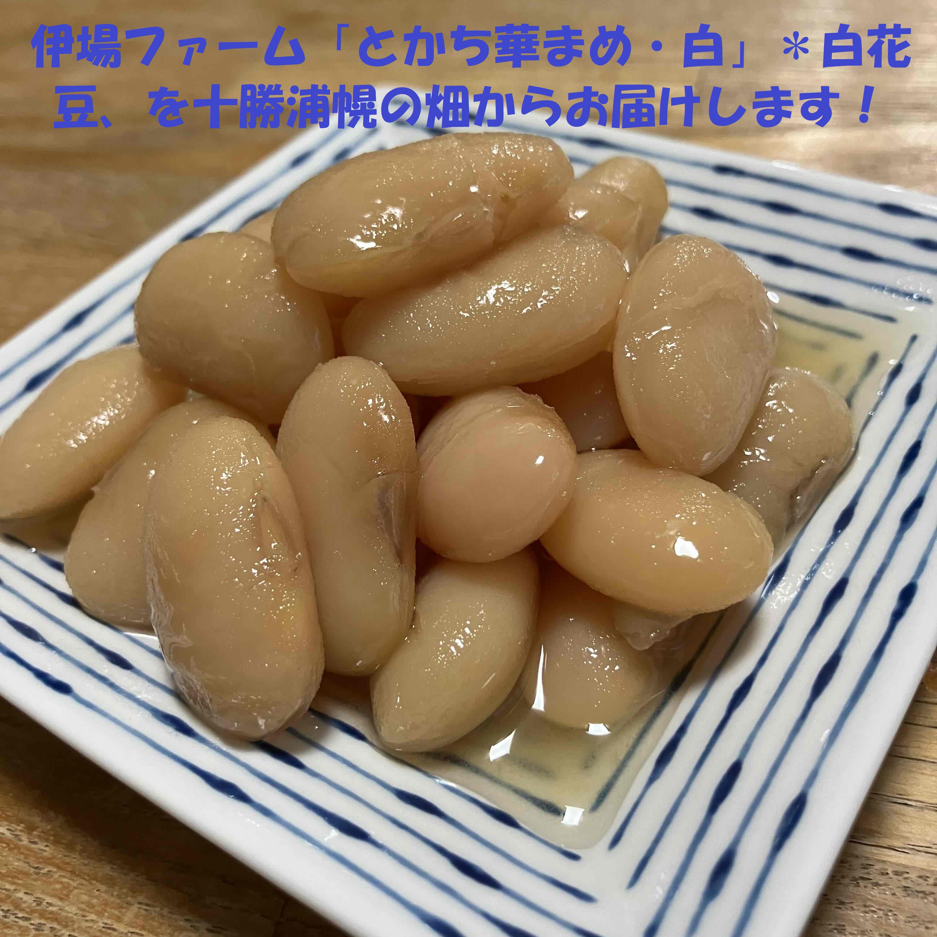  acceptance beginning![ new thing ] white flower legume 800g[ and ....* white ]. peace 5 year production free shipping agriculture . water production large .. winning Hokkaido Tokachi New Year cellulose abundance 