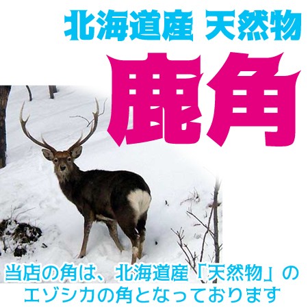  deer. angle dog toy .. bite [ Revue contribution .. length soup . present!] dog dental care Hokkaido ezo deer dog supplies toy deer angle 