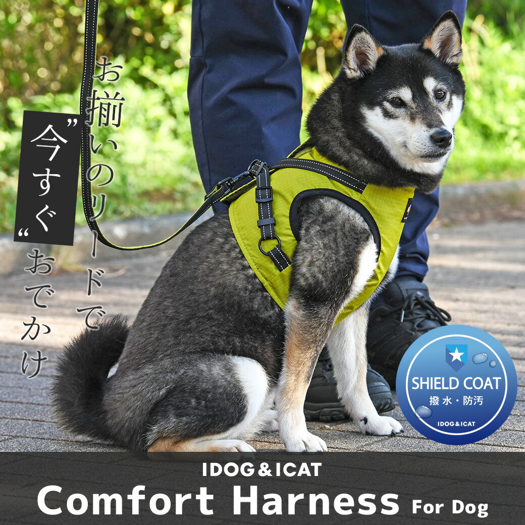  собака Harness iDog собака для комфорт шлейка с поводком имеется IDOG EQUIPMENT I собака 