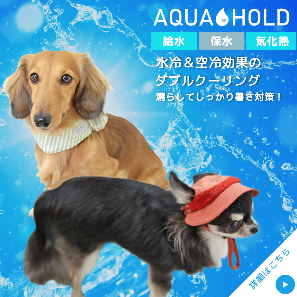  собака одежда iDog AQUA HOLD.... активный шляпа летний почтовая доставка OK