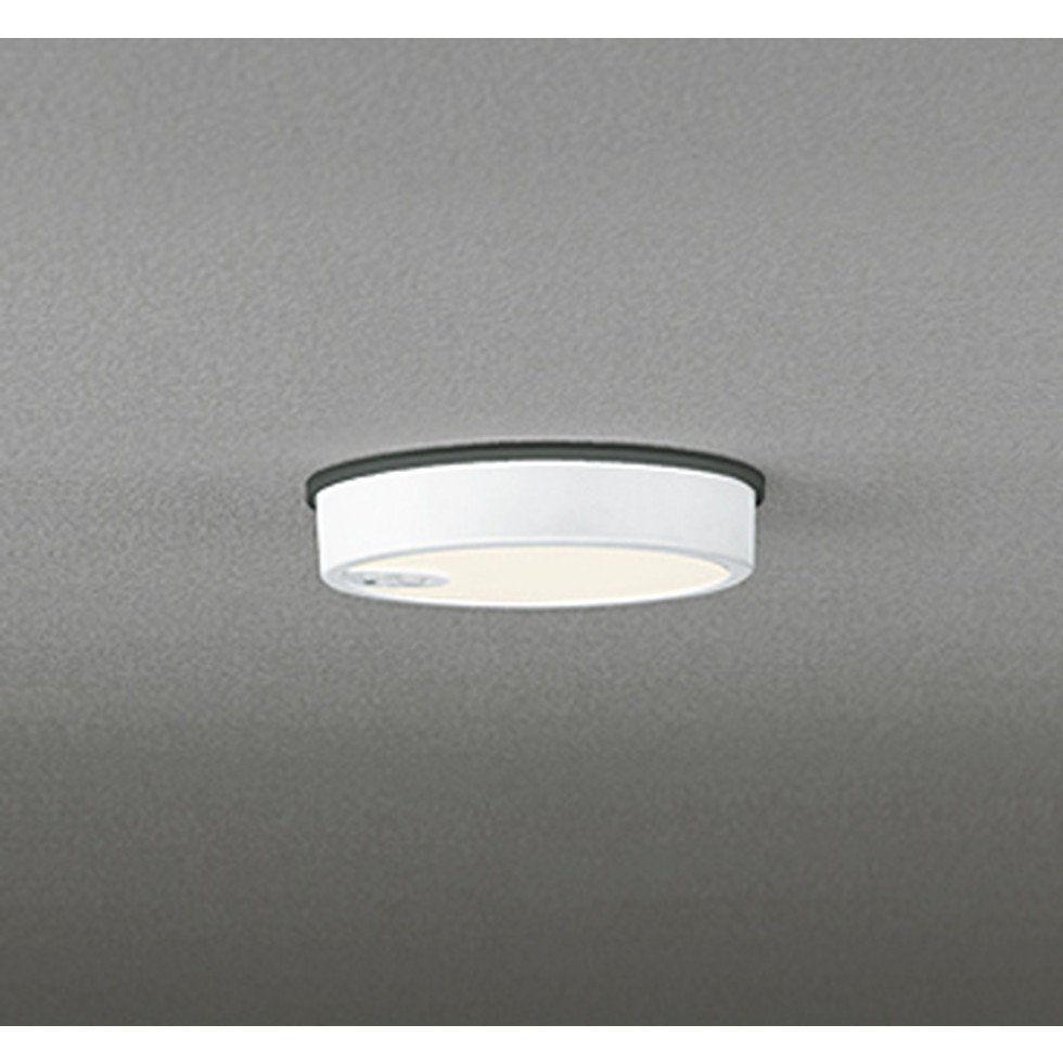 電球色 / オフホワイト