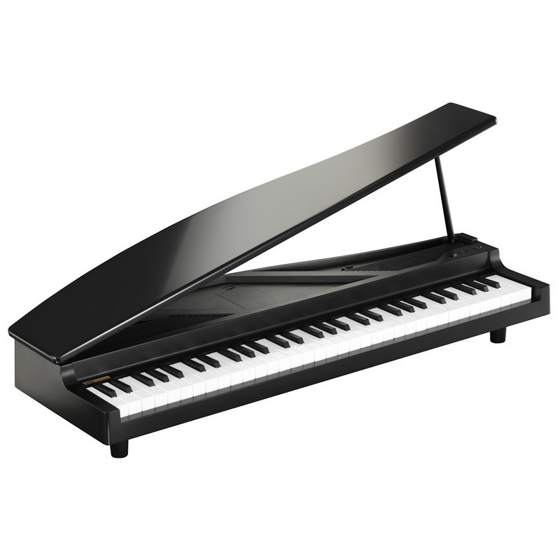 コルグ Digital Piano microPIANO-BK（黒）