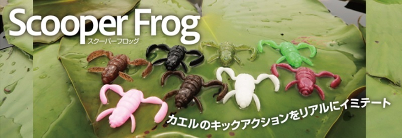 s Cooper frog bottom up frog wa-m