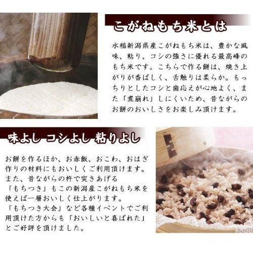  white rice 1kg... glutinous rice . peace 5 year production Niigata production postage extra 