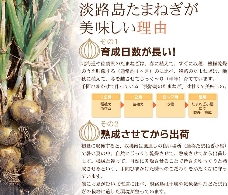  new onion Awaji Island onion 3kg with translation increase amount equipped sphere leek onion new onion new sphere leek new sphere now . farm # with translation onion 3kg[ buy privilege ]# have machine cultivation 