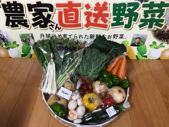  vegetable set 10 item and more direct delivery vegetable fresh .. length Ibaraki prefecture * Chiba prefecture production agriculture house san summer cool flight correspondence [ general / fixed period ]