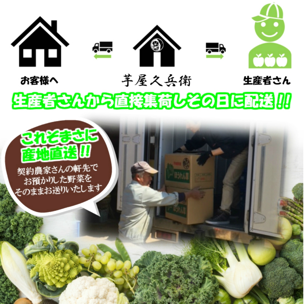  vegetable set 10 item and more direct delivery vegetable fresh .. length Ibaraki prefecture * Chiba prefecture production agriculture house san summer cool flight correspondence [ general / fixed period ]