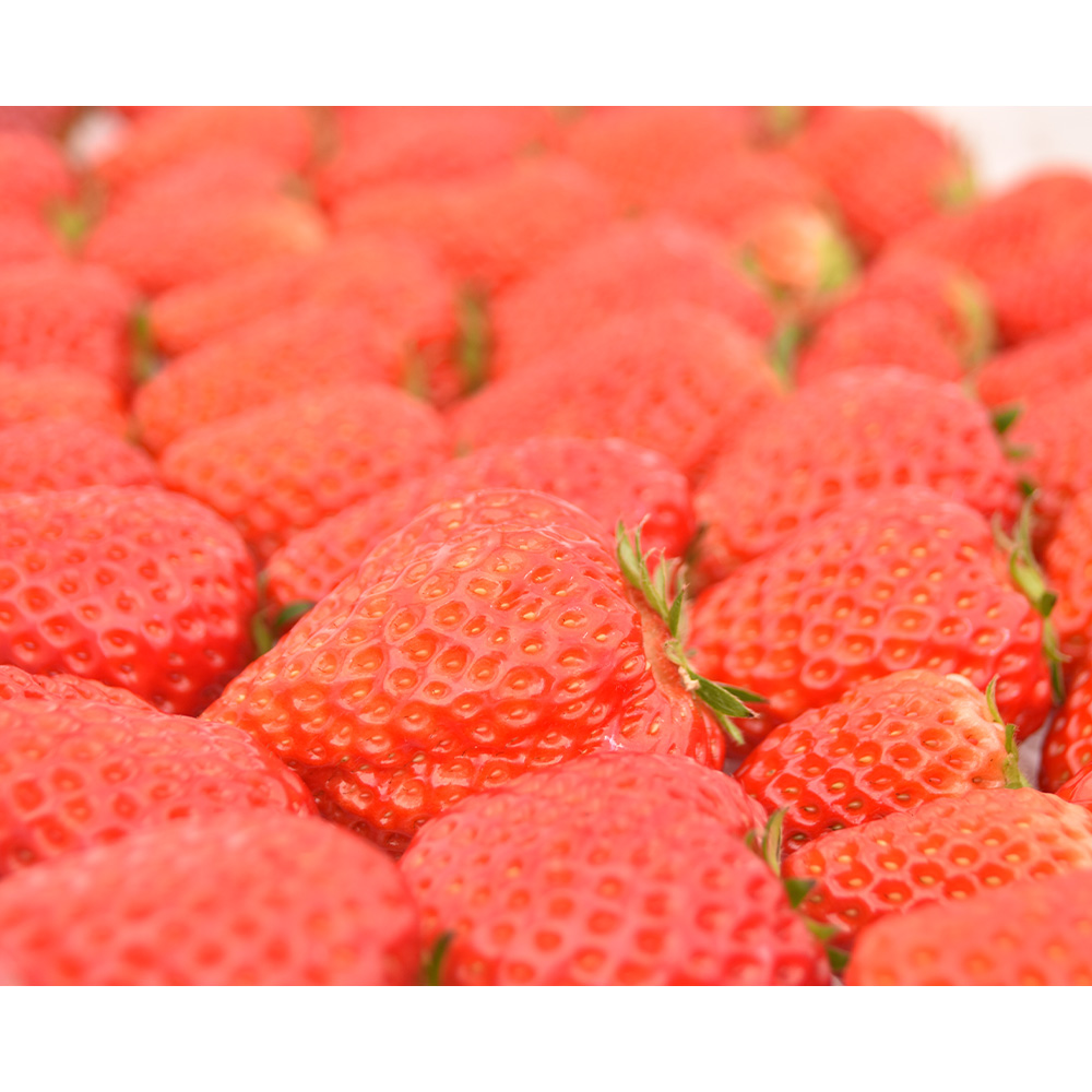  strawberry ....MIX. size shape various { delivery period :2023/12/22~2024/5/31}