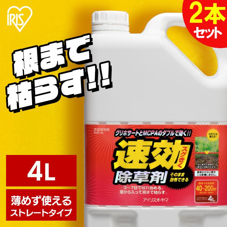 4L / 2本