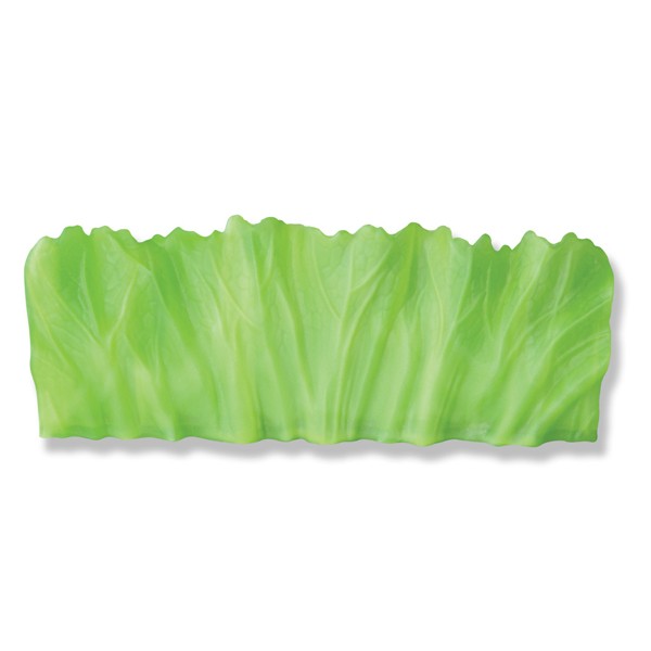  aspidistra bejikabe anti-bacterial .. present for ( range correspondence dishwasher correspondence cut bulkhead bulkhead .)