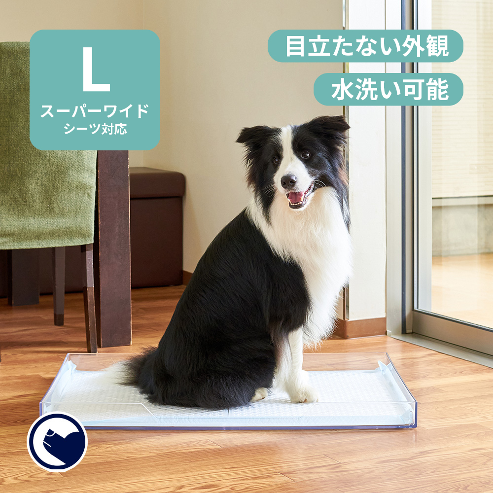 オーエフティー クリアレット2 L スーパーワイドシーツサイズ メッシュトレーセットの商品画像