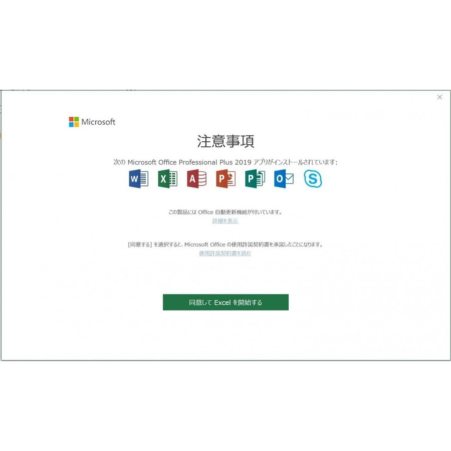  newest Microsoft Office 2019 2PC Pro duct key [ regular Japanese edition / download version / install to completion support ]