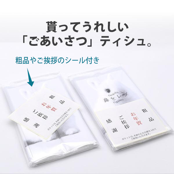 nepiane Piaa nose Celeb pocket tissue ITSUMO PLUS 48W 4000 piece moisturizer novelty goods greeting little gift New Year's greetings business card free shipping 