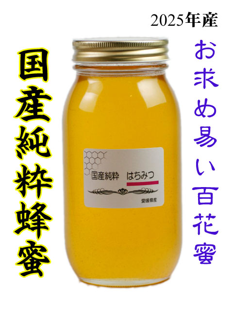 いろは養蜂場 国産純粋はちみつ 愛媛産 百花蜜 1000gの商品画像
