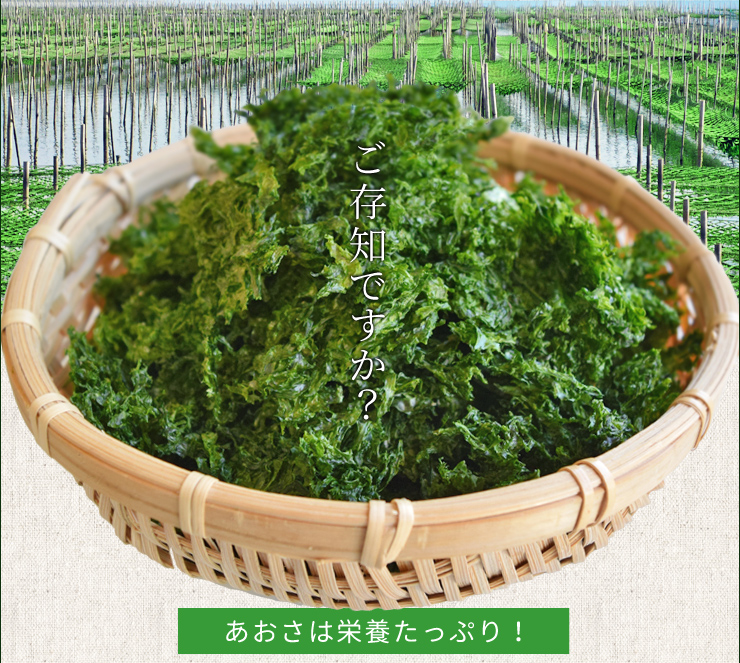  Special class sea lettuce paste 50g mail service free shipping blue sa seaweed seaweed zipper attaching sack go in NP