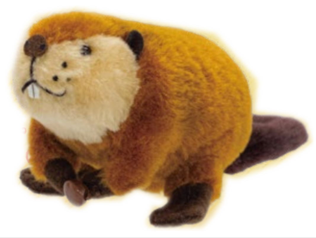 SUPER BEAVER ぬいぐるみ 吉徳 スーパービーバーちゃん