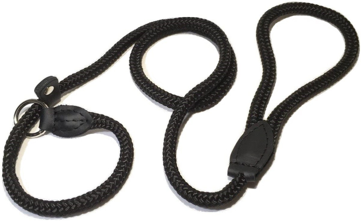 ( Poland ZOOleszcz) dog-lead slip Lead upbringing for Lead necklace ... pet .(120cm, 10mm diameter )