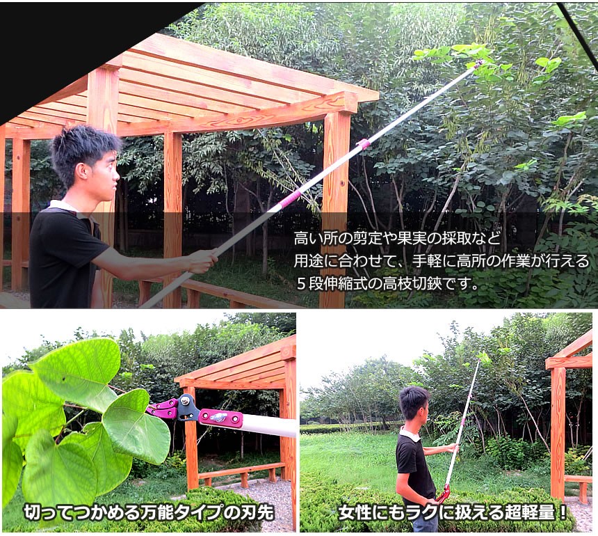  height branch cut basami5 -step flexible type exclusive use saw blade super light weight pruning fruits . taking height branch cut . gardening garden branch cut .TAKAEDA
