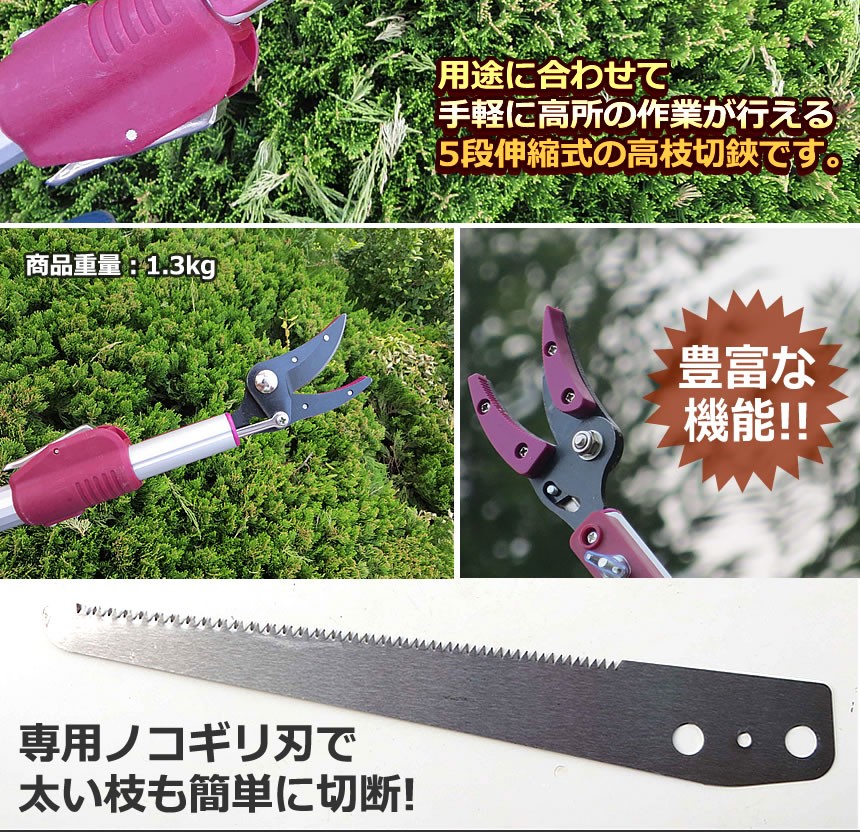  height branch cut basami5 -step flexible type exclusive use saw blade super light weight pruning fruits . taking height branch cut . gardening garden branch cut .TAKAEDA