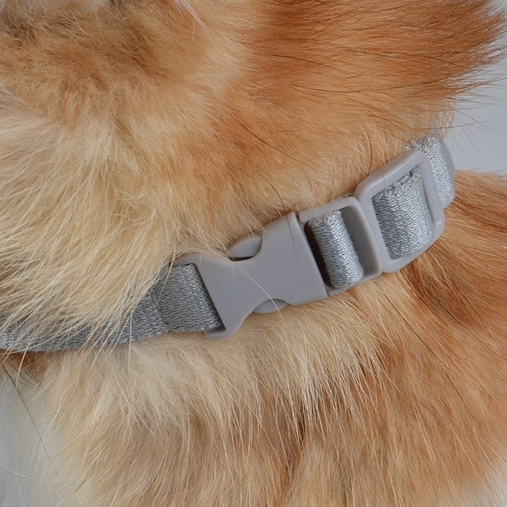  dog muzzle; ferrule small size dog * medium sized dog * large dog dog uselessness .. prevention apparatus training supplies scratch lick cease a Hill . mask mouse 